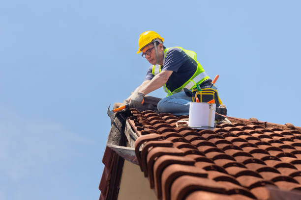 Fast & Reliable Emergency Roof Repairs in Camp Pendleton South, CA